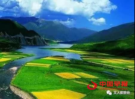 1597900136143968.jpg 333.jpg