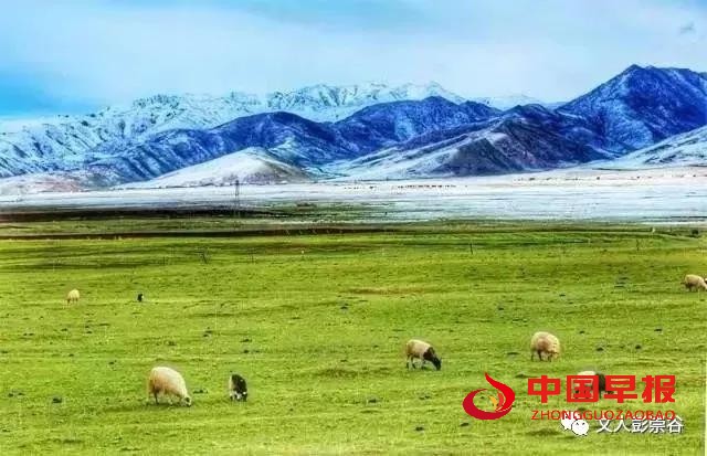 1597900223207518.jpg 555.jpg