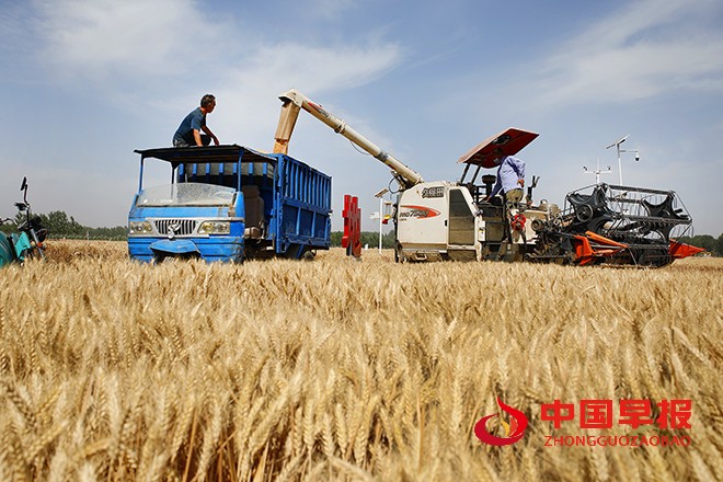 1654584000195448.jpg 2022年6月6日,河南省开封市尉氏县张市镇沈家村的村民在本镇万亩高标准农田抢收小麦、及时浇灌土地播种农作物。 (7).jpg