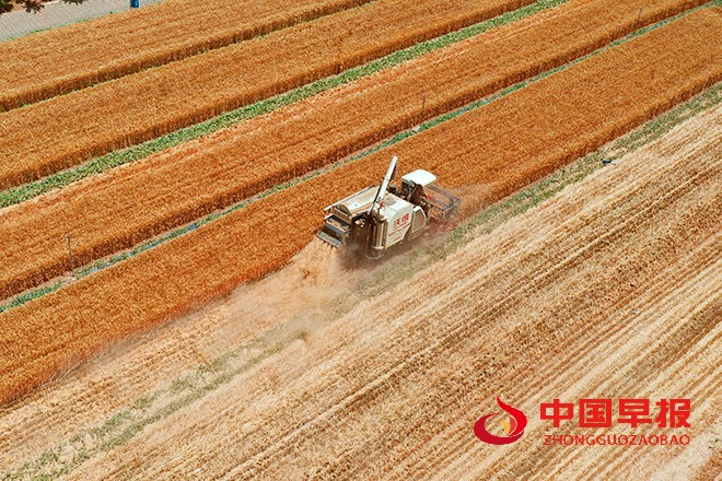 1654584025600908.jpg 2022年6月6日,河南省开封市尉氏县张市镇沈家村的村民在本镇万亩高标准农田抢收小麦、及时浇灌土地播种农作物。 (4).jpg