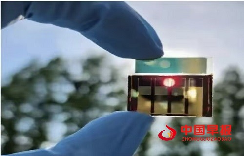 1733191104745352.jpg 微信图片_20241203095421.jpg