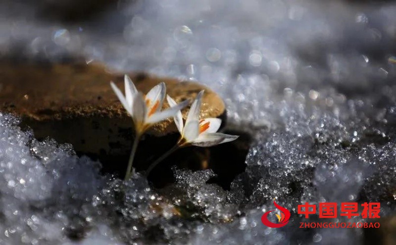 1734963982912674.jpg 4_副本.jpg