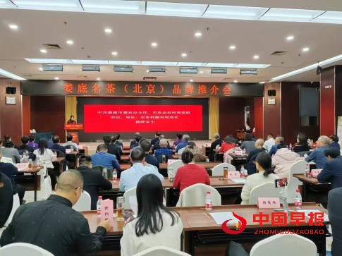 1735447724955489.jpg 5555.jpg