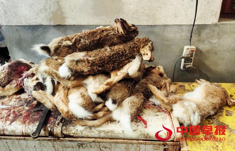 1735527509187562.jpg 微信图片_20241230104315_副本.jpg