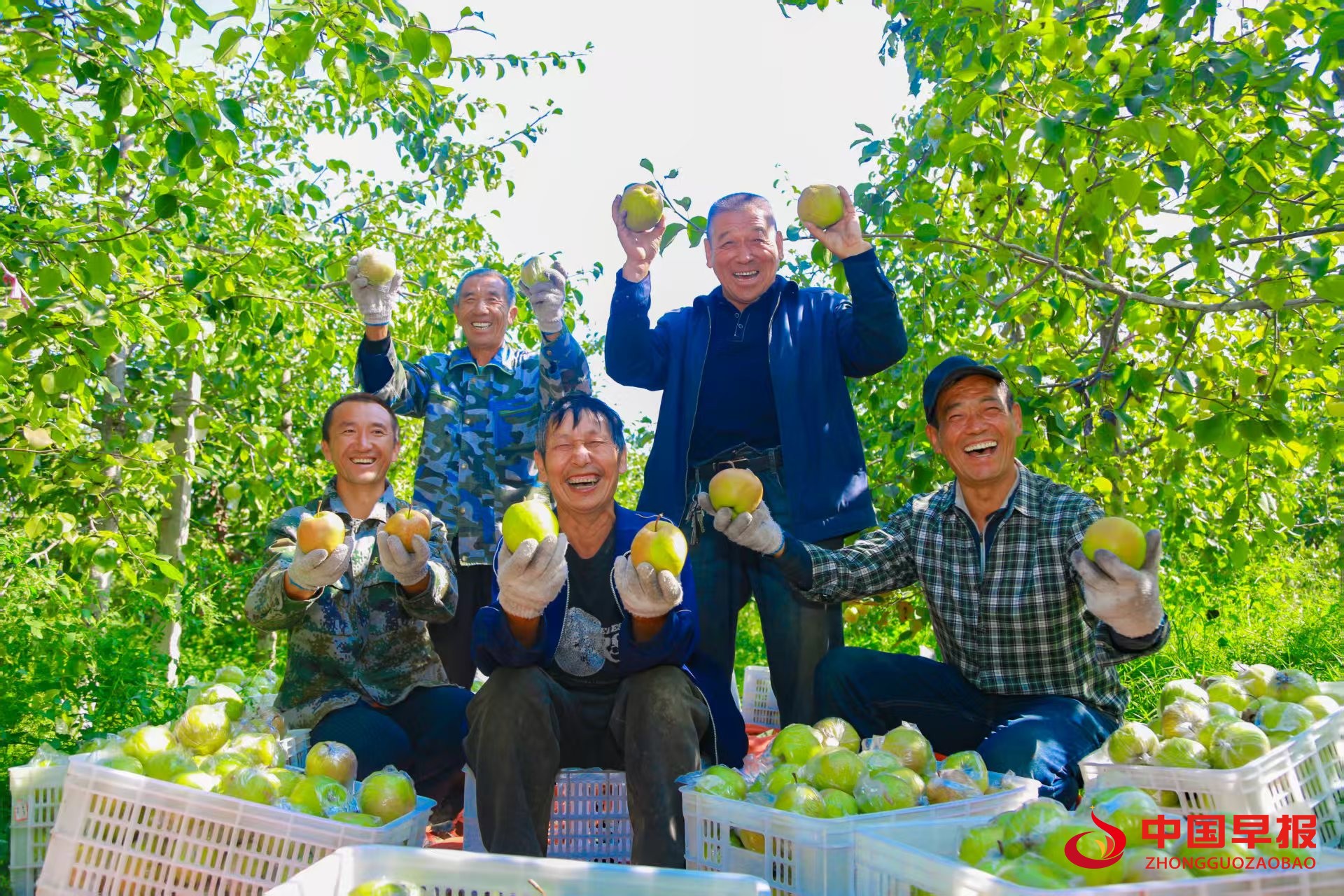 1739158394422838.jpg 微信图片07.jpg