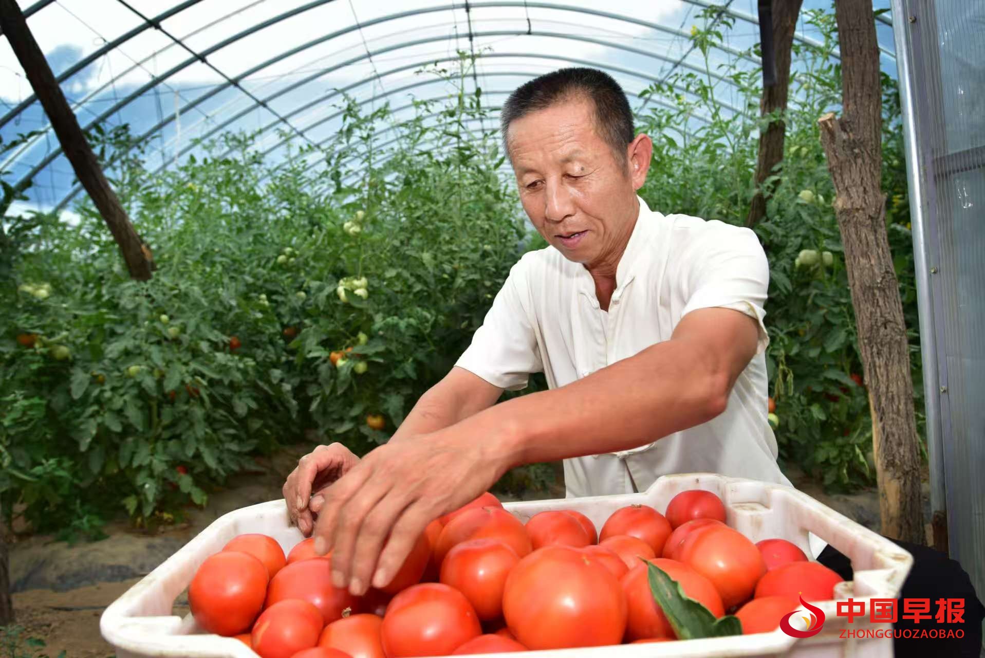 1739158500367678.jpg 图片08.jpg