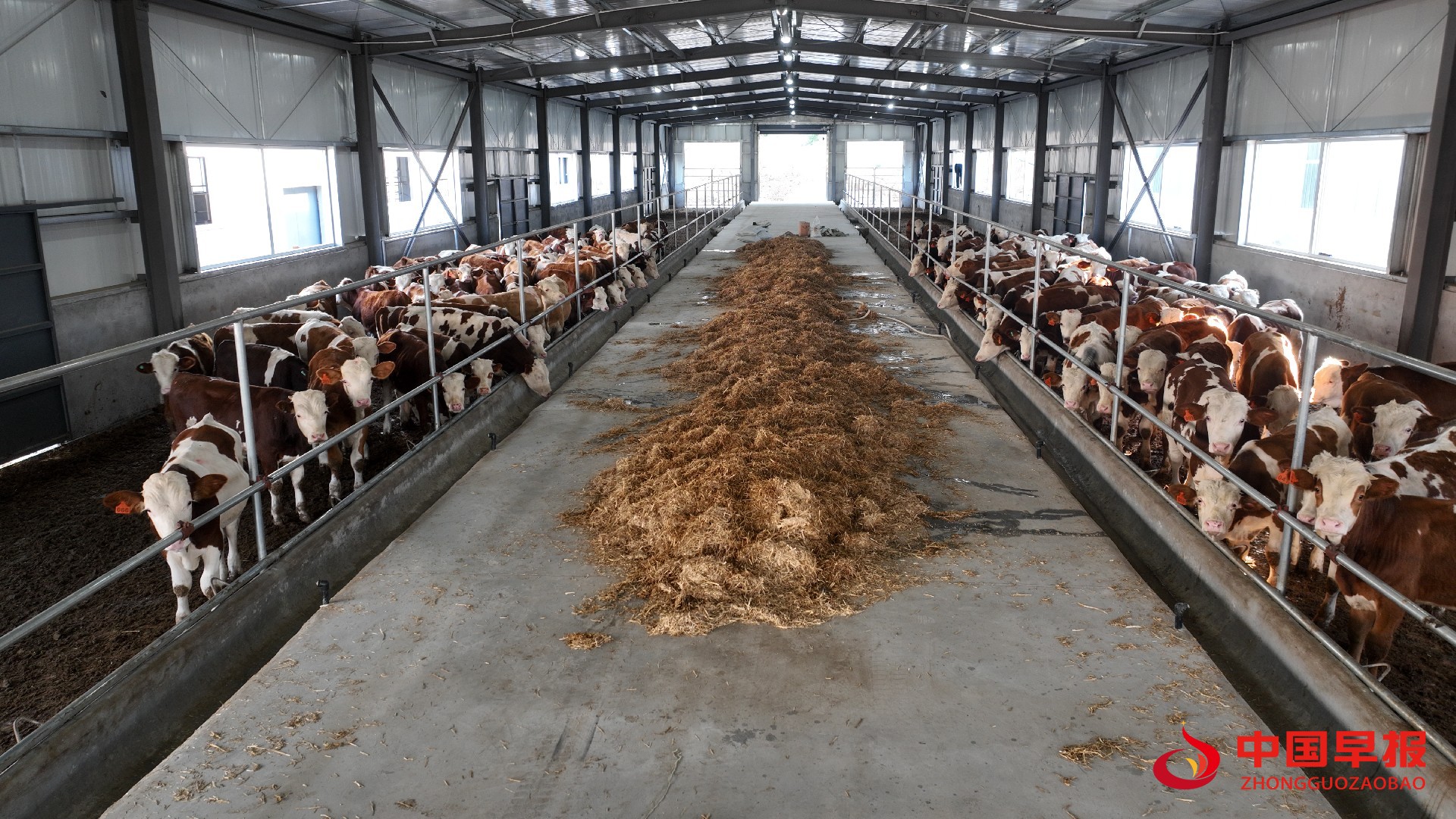 1739158573681992.jpg 图片09.jpg