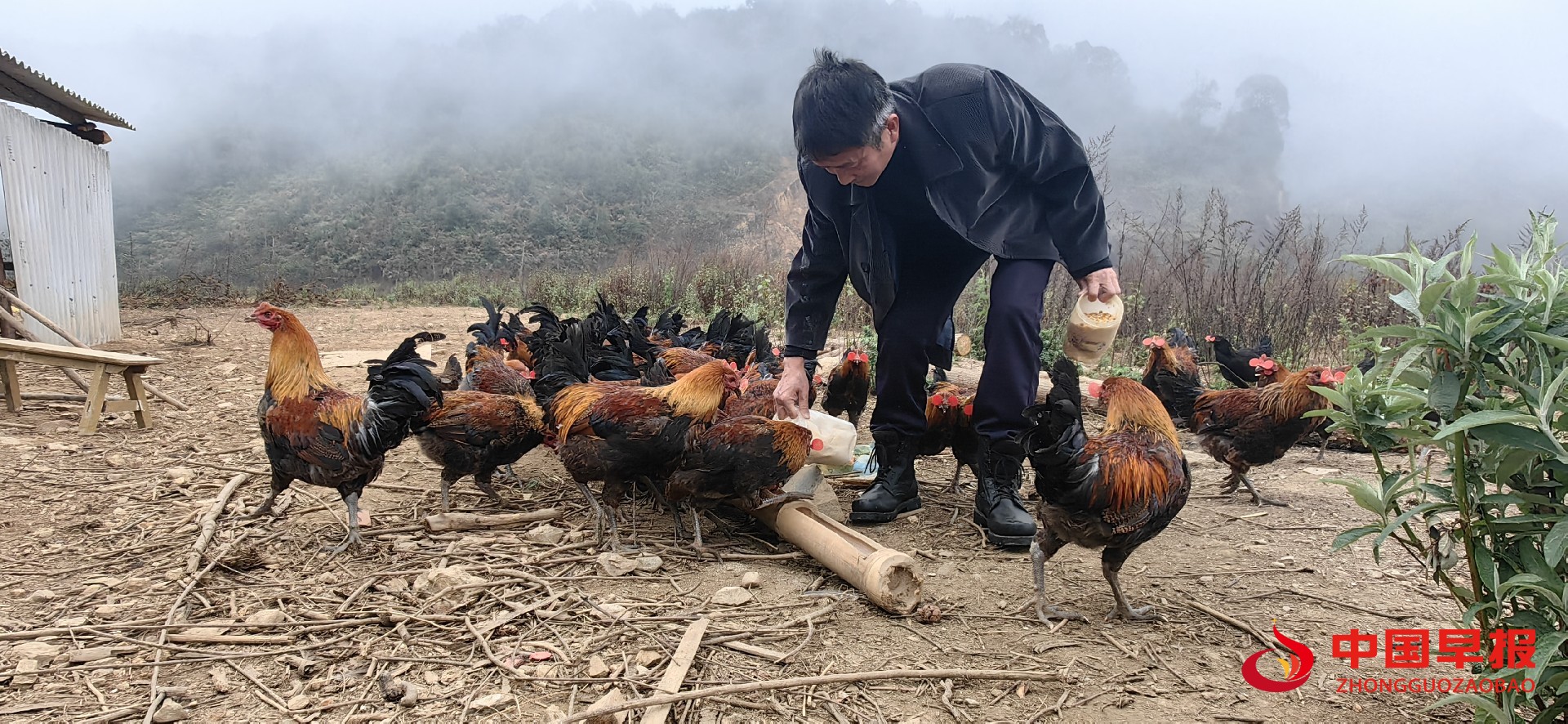 1739631320960064.jpg 1739631320960064.jpg