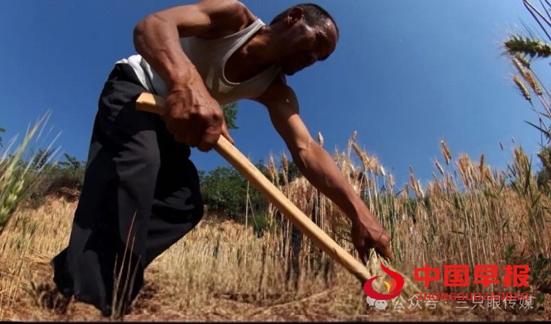 1739883545160713.jpg 640.jpg