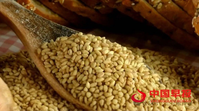 1739883658910987.jpg 640 (2).jpg