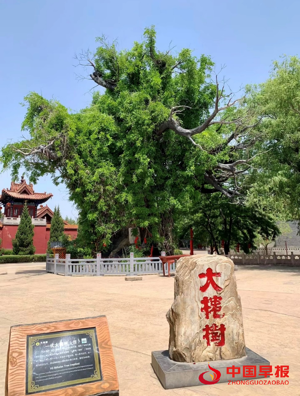 1740555670769873.png 图片03.png