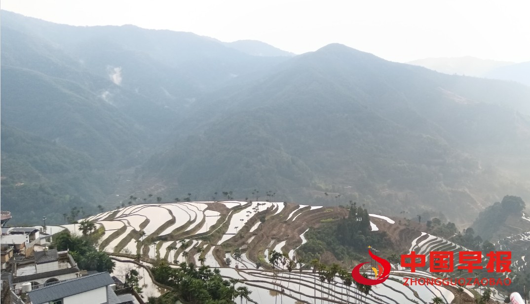 1741047517719126.png 1741047517719126.png