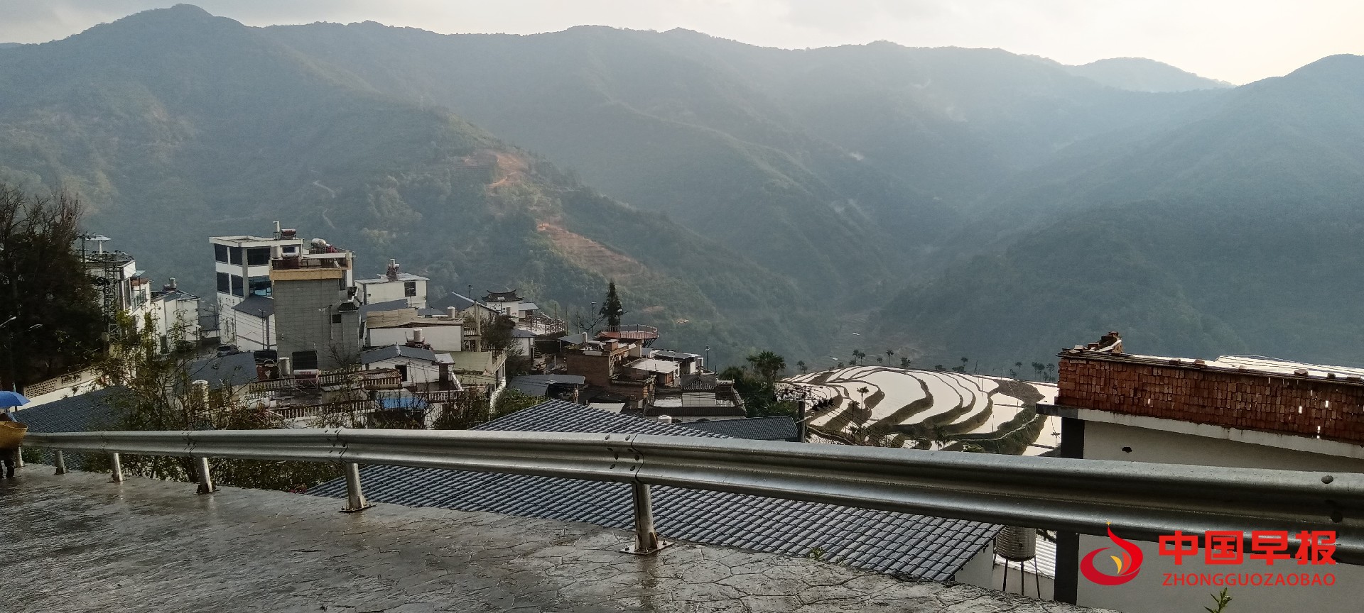 1741047544175025.jpg 1741047544175025.jpg