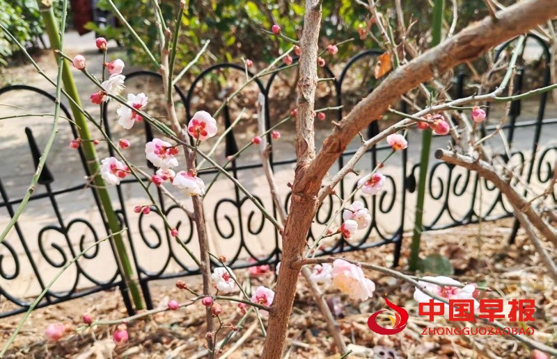 1741176855207398.jpg 1_副本.jpg