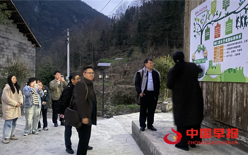 1741944805161329.jpg 微信图片_20250314143341_副本.jpg