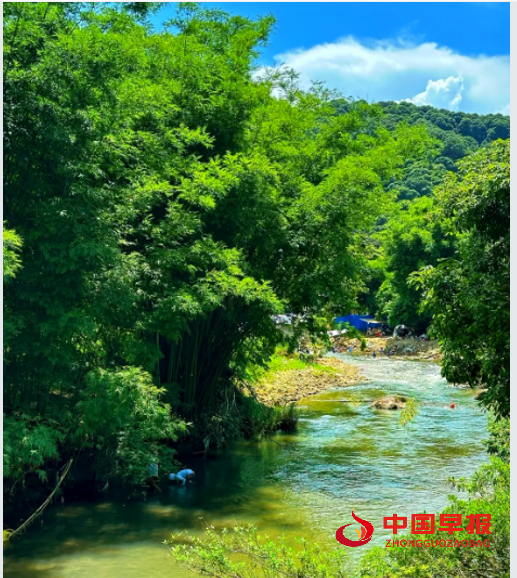 1744191916167744.png 33.png