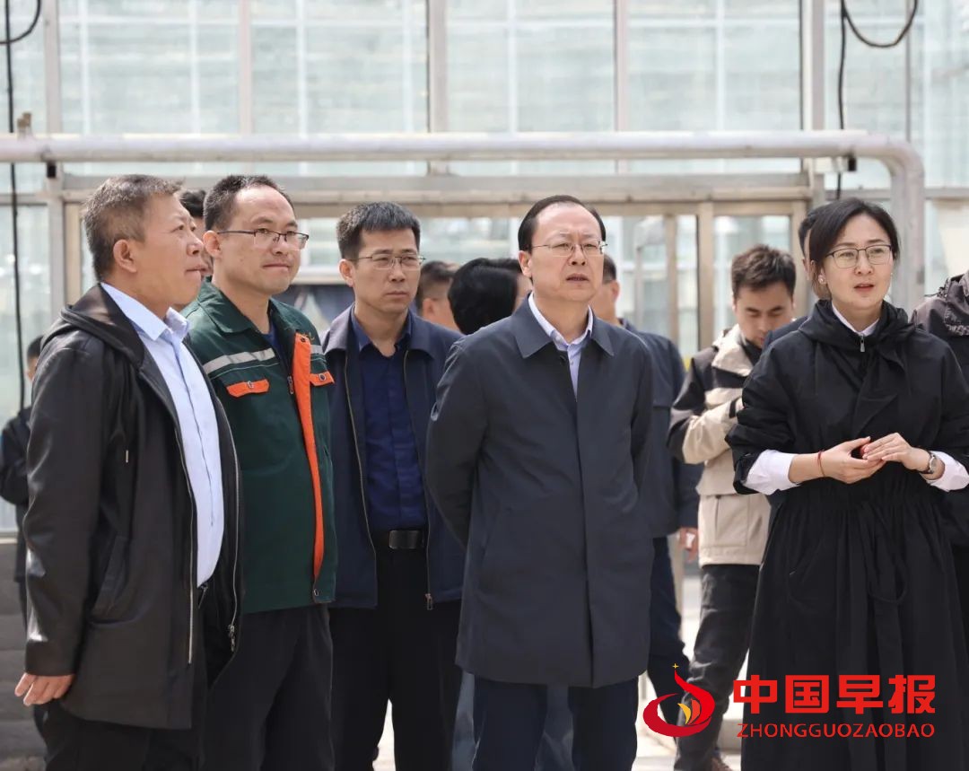 1744364062202348.jpg 图片04.jpg