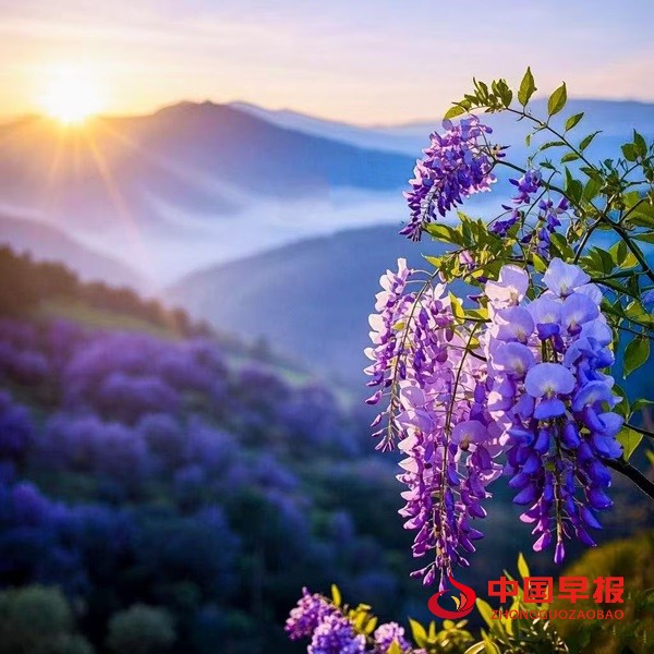 1744684521766161.jpg 微信图片_20250415102919.jpg