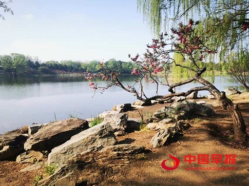 1745042485159468.jpg 1745042485159468.jpg