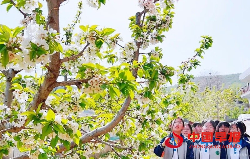 1745764812880595.jpg 640_副本.jpg