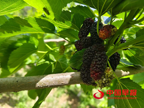 20542169744094738_5.png 20542169744094738_5.png