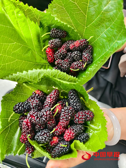 20543719748171038_5.png 20543719748171038_5.png