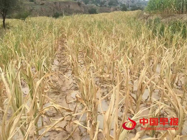 1746757082951874.jpg 微信图片_20250509101219.jpg