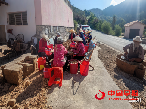 1747101343662731.png 3333.png