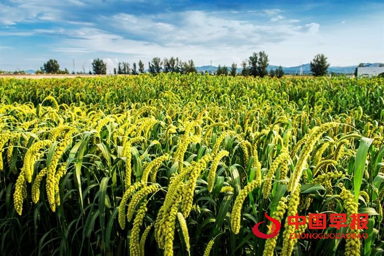 1748915600149678.jpg 图片08.jpg