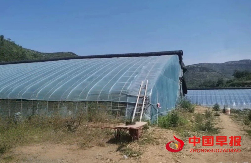 1749226640743121.jpg 640_副本.jpg