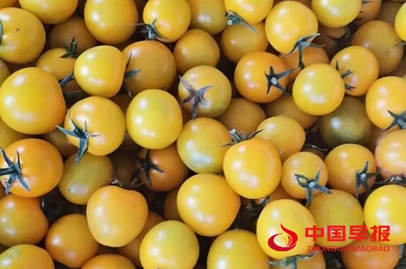 1749226657136975.jpg 640 (2)_副本.jpg