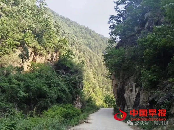 1749274208677808.jpg 640.jpg