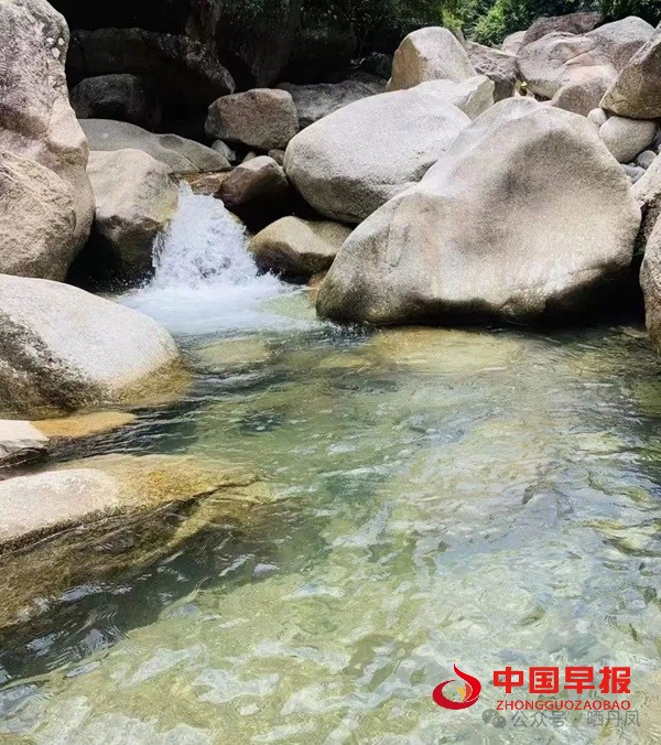 1749274372148904.jpg 640 (2).jpg