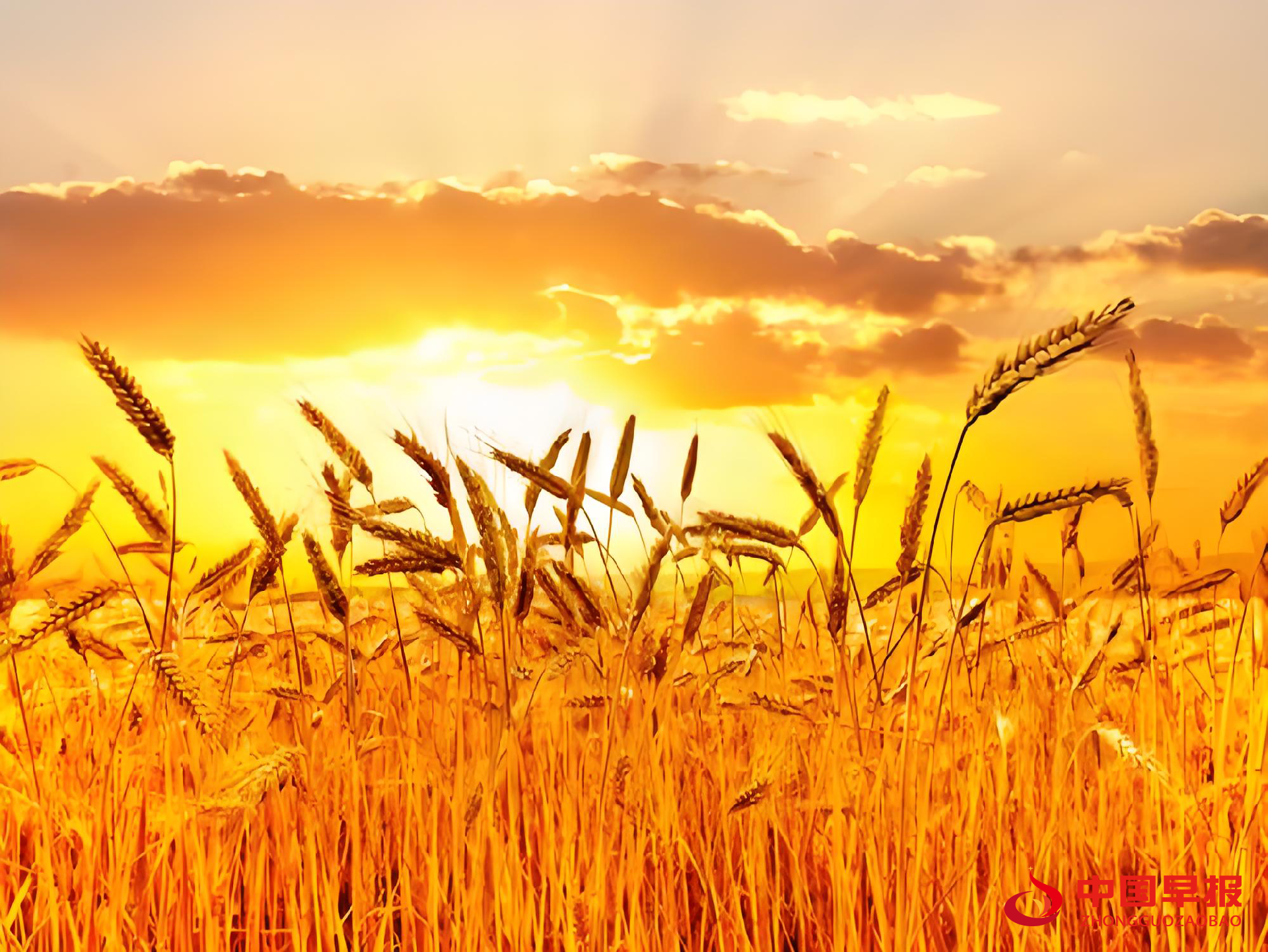 1749628623116065.png 图片01.png