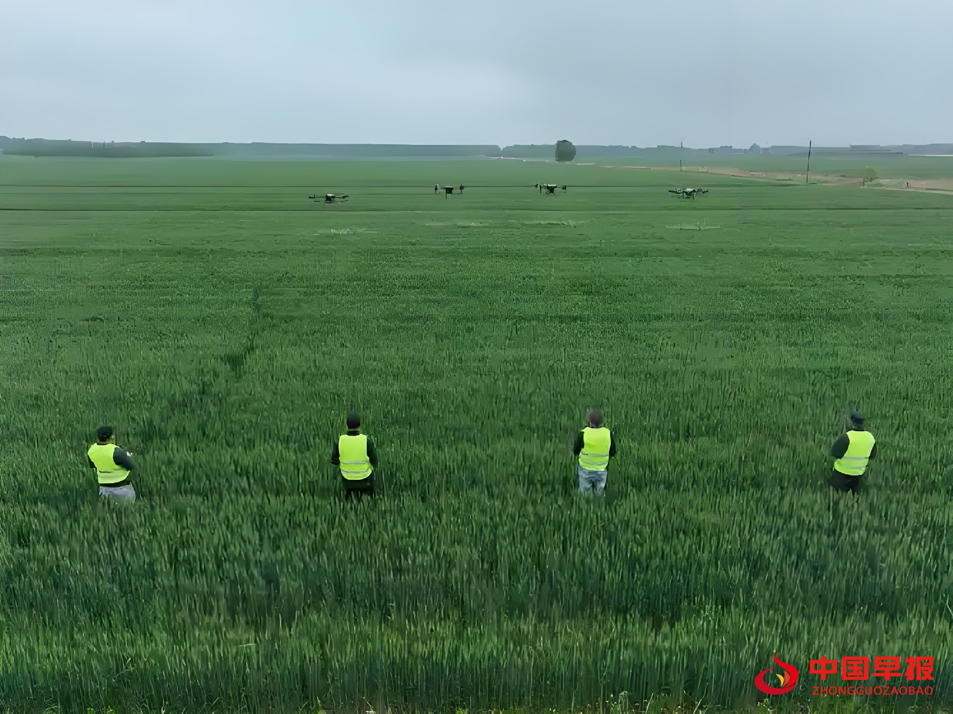 1749628852145924.png 图片05.png