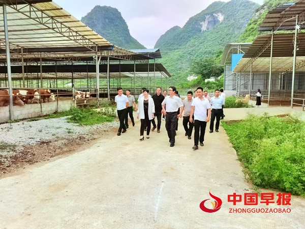 1749647425168104.jpg 微信图片_20250611204800.jpg