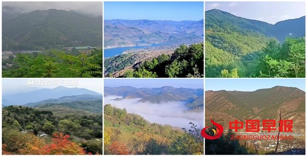 1750382501213655.jpg 图片1.jpg