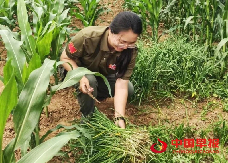 1750870640205371.jpg 640 (1)_副本.jpg