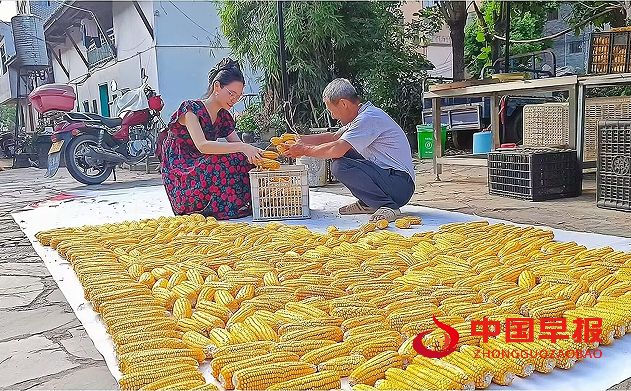 1751016959651174.png 4.png