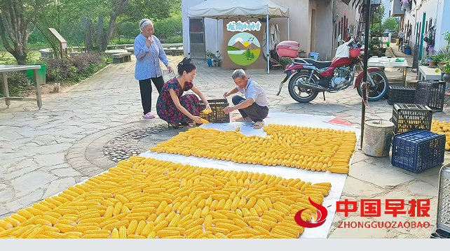 1751017010141739.png 7.png