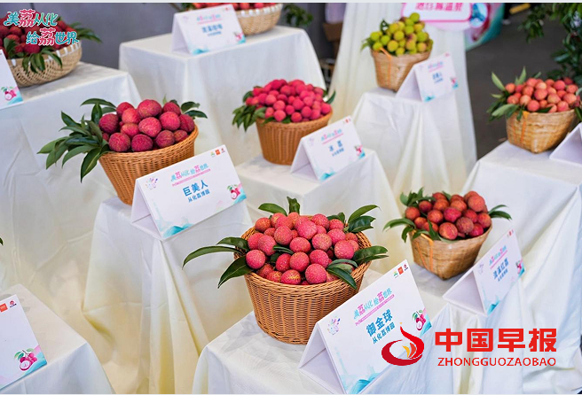 1751106661126041.png 22.png