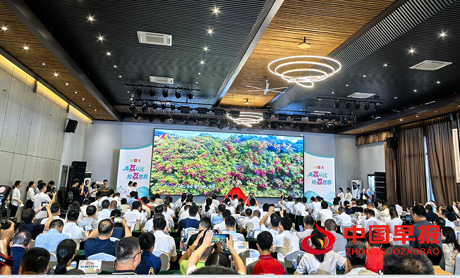 1751158264637744.png 11.png