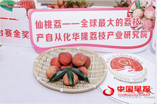 1751158313188765.png 22.png