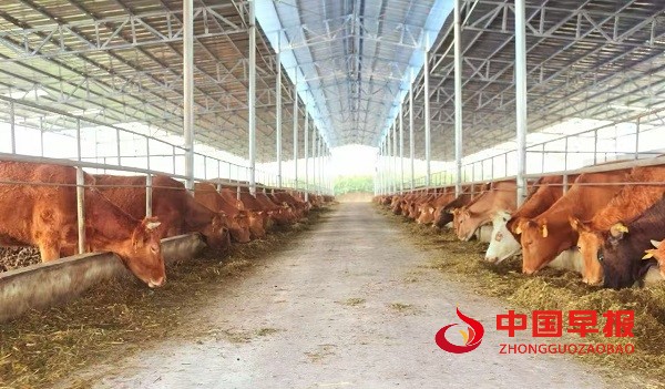 1751289411646480.jpg 微信图片_20250630211055.jpg