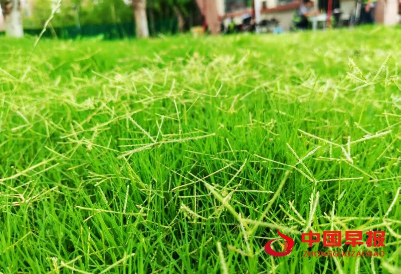 1751950807346488.jpg 微信图片_20250708125011_副本.jpg