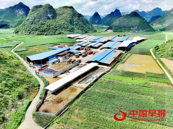 1752325279378830.jpg 1752325279378830.jpg