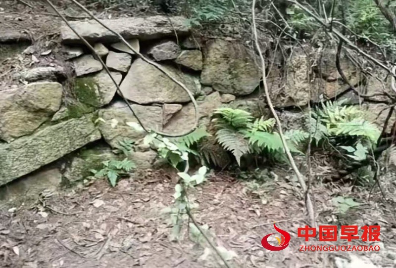 1752363658312198.jpg 微信图片_20250713073224.jpg