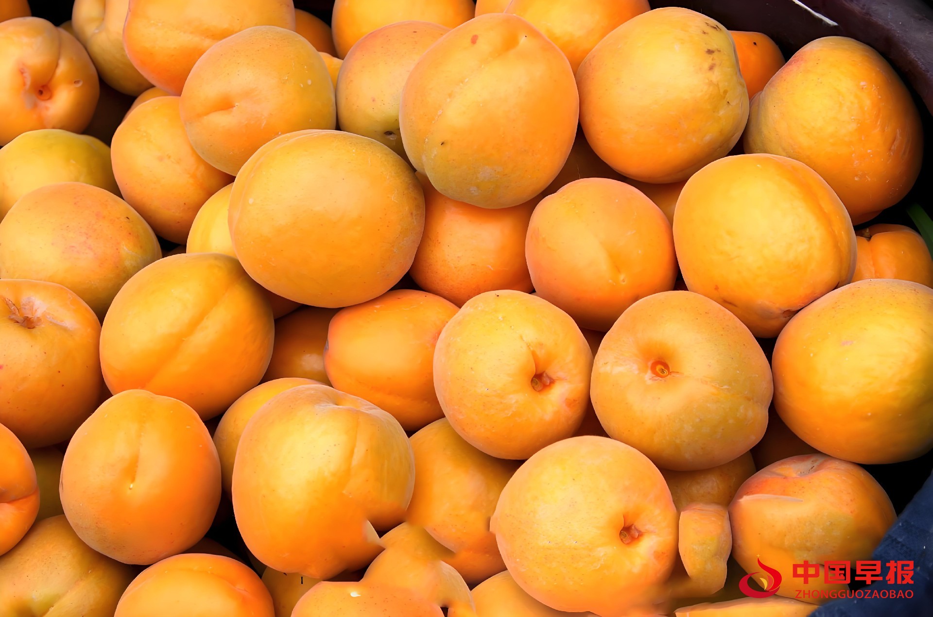 1752806994125932.jpg 图片03.jpg