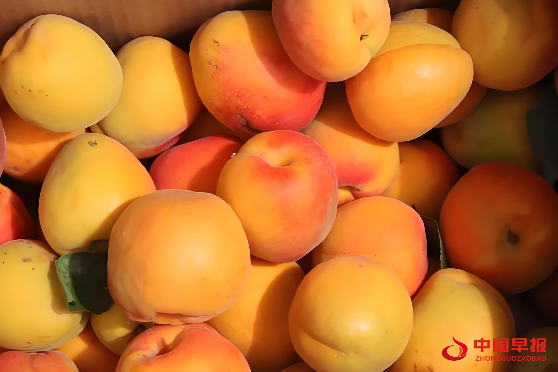 1752807350420359.jpg 图片08.jpg