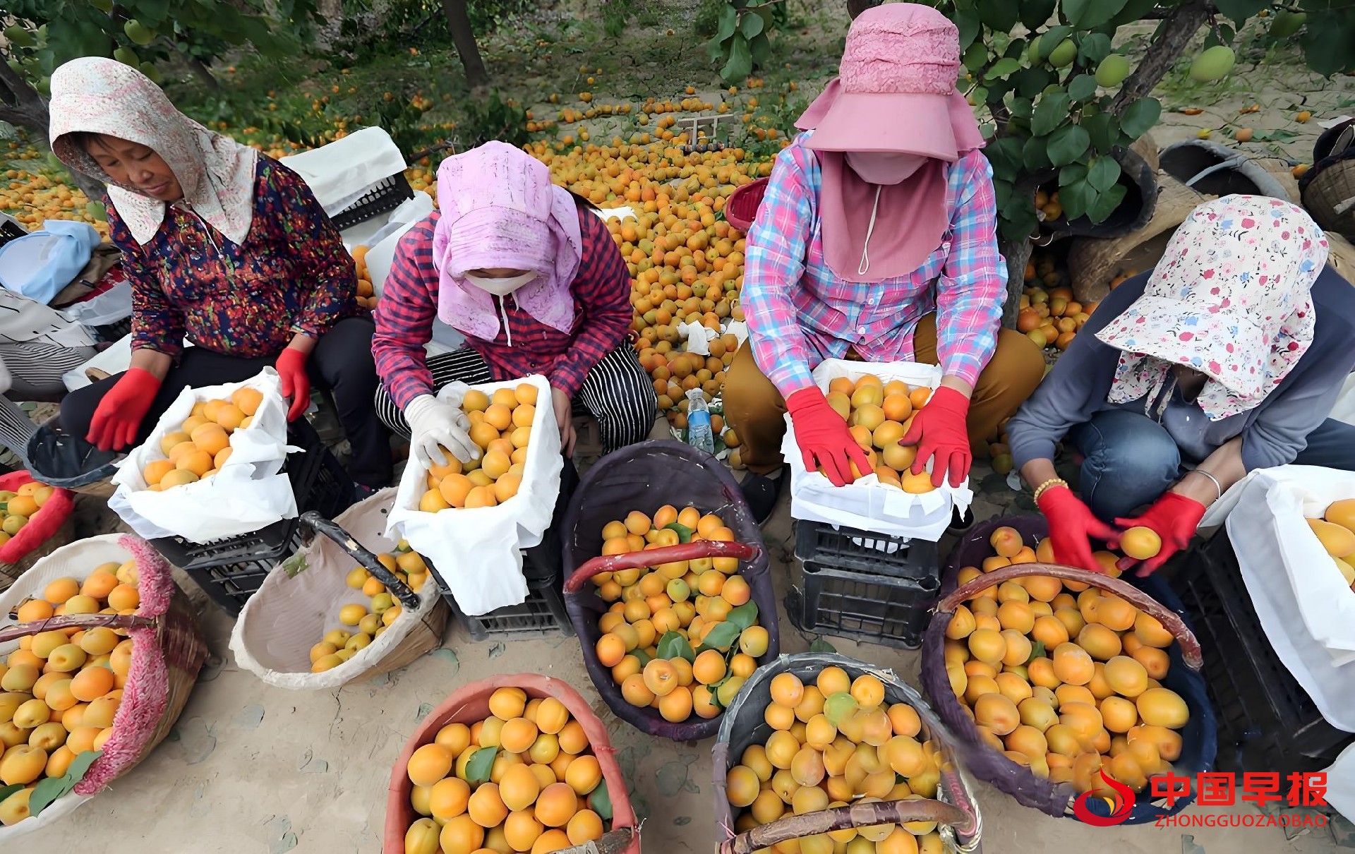 1752807401436180.jpg 图片09.jpg